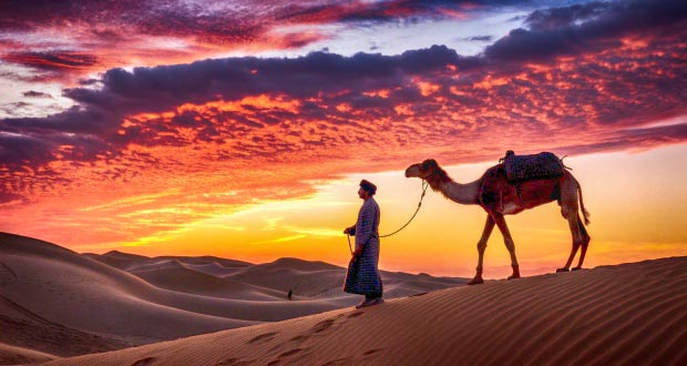 jordan_AMM_amman_camel_piratesru_1